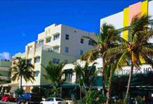 Sea And Style In Miami 